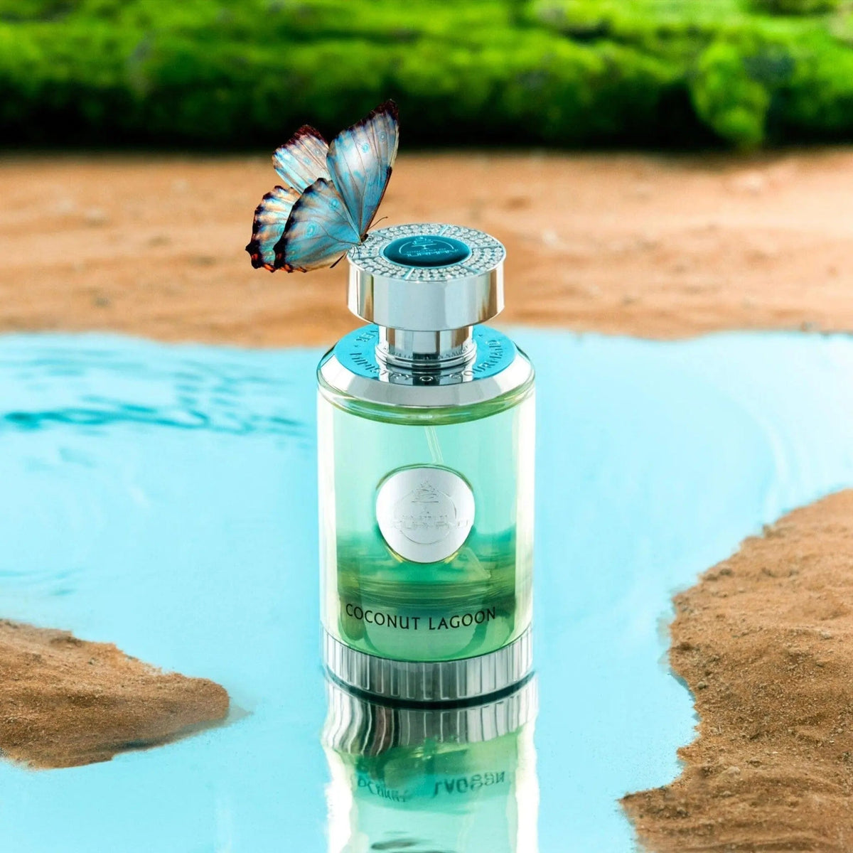 Coconut Lagoon Perfume 100ml EDP Paris Corner by Paris Corner