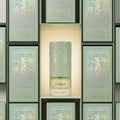 Dulzura Vanilla Envie Perfume 100ml EDP Paris Corner by Paris Corner