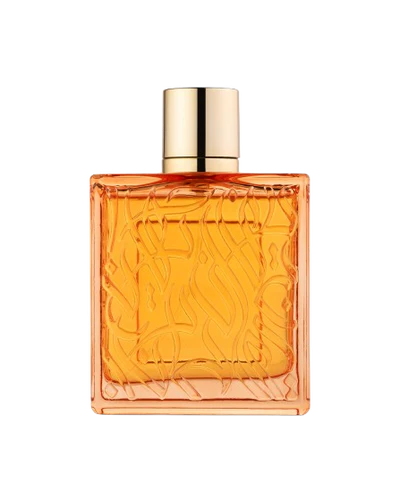 Rayhaan Adonis Icarus 100ml EDP by Rayhaan