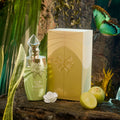 Jardin des Papillons Perfume 100ml EDP Paris Corner by Paris Corner