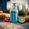 Reham Wild Mineral Perfume 100ml EDP Paris Corner by Paris Corner