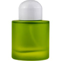 Vibrant Vetiver Delight Perfume 100ml EDP Emir by Paris Corner by Paris Corner