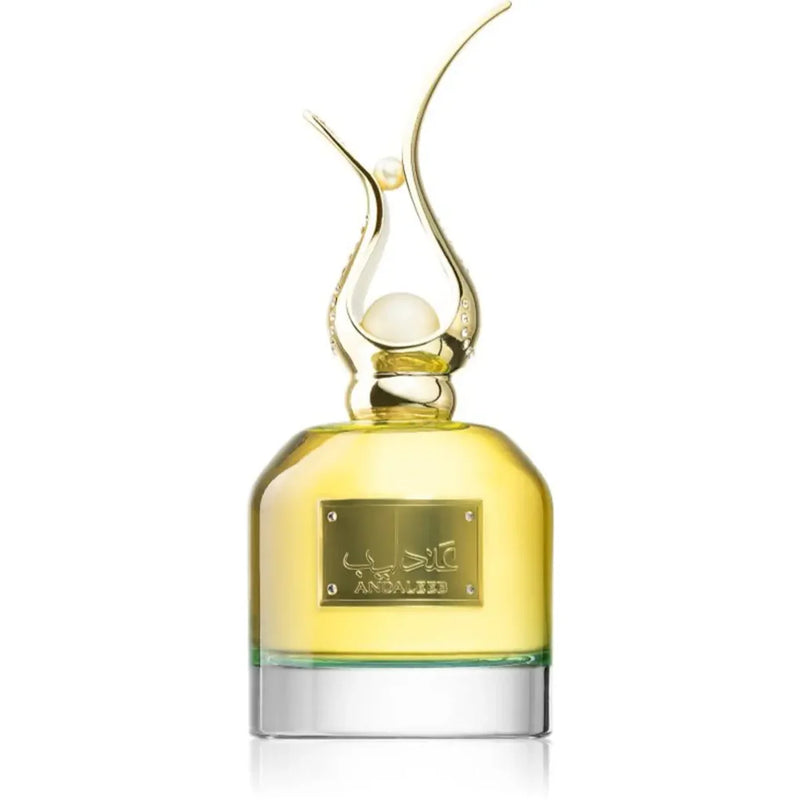 ANDALEEB 100ML EDP